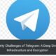 The Security Challenges of Telegram: A Deep Dive into Its Infrastructure and Encryption