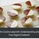 Navigating the Cookie Labyrinth: Understanding and Managing Your Digital Footprint