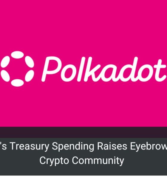 Polkadot's Treasury Spending Raises Eyebrows in the Crypto Community