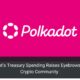 Polkadot's Treasury Spending Raises Eyebrows in the Crypto Community